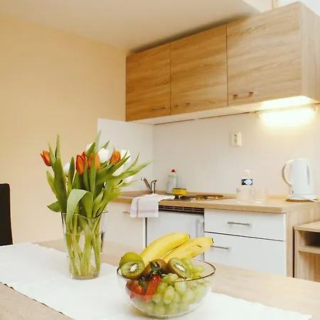 7 Nights Vaclavska * Brno